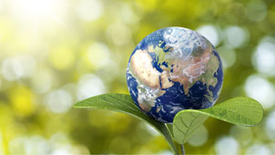 World globe in a seed leaf
