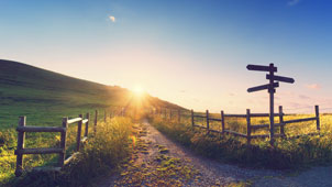 Signposts on paths through pastures